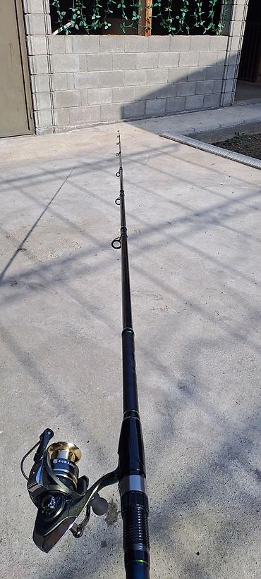 Удочки и спиннинги: Удилище телескопическое с безынерционной катушкой - Длина: 4,2 м — 2