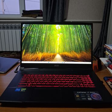 куллер для ноутбука: Ноутбук, MSI, Intel Core i5, 17.3 ", Игровой, память SSD
