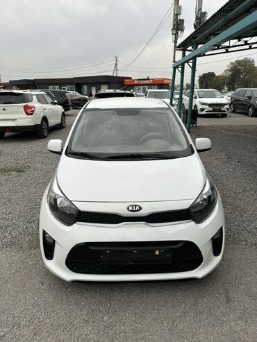 какая машина подойдет для яндекс такси бишкек: Kia Picanto: 2019 г., 1 л, Автомат, Бензин, Хетчбек