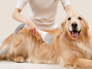 azcomp electronics: ✂️ Petkit Pet Grooming Vacuum Kit 5-in-1 (LM4) – Vacumlu trimmer — 5