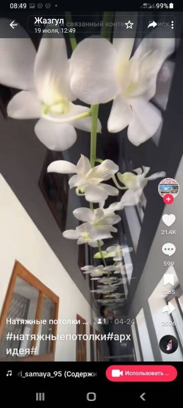 Натяжной потолок: Натяжной потолок Глянцевое, Матовое, 3D потолки Монтаж, Гарантия, Демонтаж at lalafo.kg — 14 Натяжной потолок: Натяжной потолок Глянцевое, Матовое, 3D потолки Монтаж, Гарантия, Демонтаж — 14