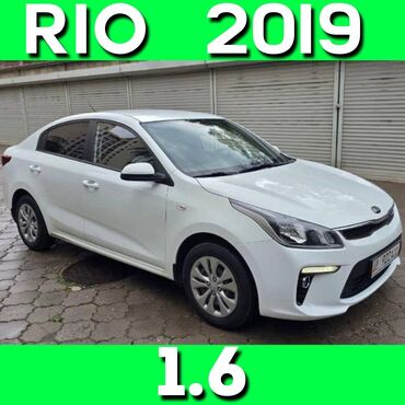 kia rio 2014: Kia Rio: 2019 г., 1.6 л, Автомат, Бензин, Седан