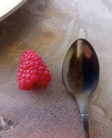 Фрукты и ягоды: Принимаем заказы на рассаду сорт Шапка Мономаха долгоиграющий — 7