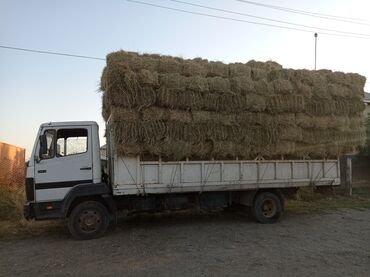 гигант борт: Жүк ташуучу унаа, Mercedes-Benz, Стандарт, 5 т, Колдонулган