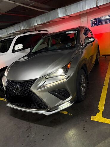 Lexus: Lexus NX: 2019 г., 2 л, Автомат, Бензиновая, Кроссовер — 5