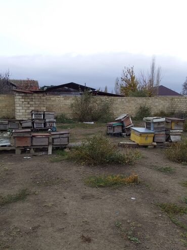 Həyət evləri və villaların satışı: 3 otaqlı, 64 kv. m, Kredit yoxdur, Təmirsiz — 6