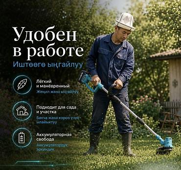 поростер: Аккумуляторный садовый триммер Grass Killer с 2 аккумуляторами — — 4