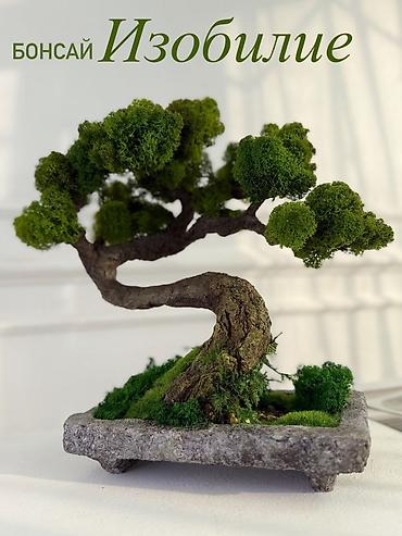 Декоративные цветы: Деревья-бонсай из натурального стабилизированного мха🌳 -это — 68