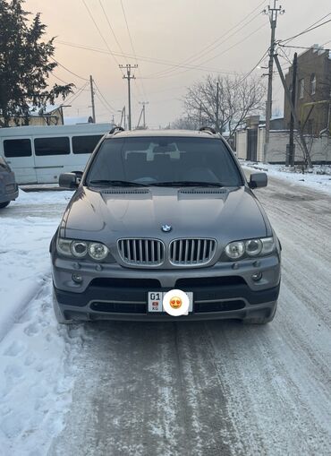 штукатурная машина: BMW X5: 2005 г., 4.8 л, Бензин