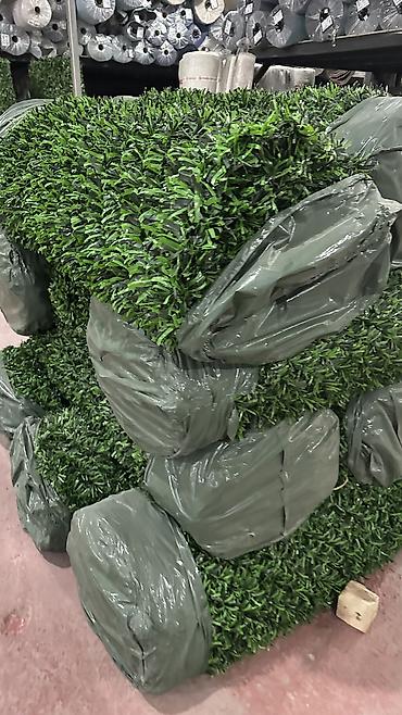 kələm gülü: 🌿 Yaşıl Hasar – Təbii Görünüş, Uzunömürlü Keyfiyyət! 🌿 🏗 Paslanmaz — 7