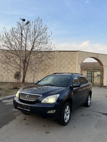 Lexus: Lexus RX: 2003 г., 3 л, Бензин