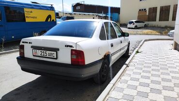передний бампер опель вектра б: Opel Vectra: 1991 г., 1.6 л, Механика, Бензин, Седан