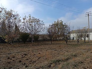 Torpaq sahələrinin satışı: 25 sot, Kənd təsərrüfatı, Mülkiyyətçi, Kupça (Çıxarış) -da lalafo.az — 17 Torpaq sahələrinin satışı: 25 sot, Kənd təsərrüfatı, Mülkiyyətçi, Kupça (Çıxarış) — 17