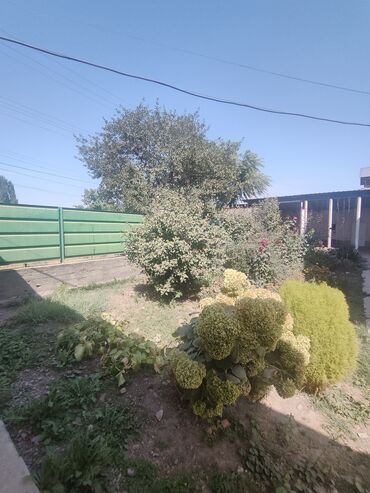 Продажа участков: 33 соток, Для бизнеса, Красная книга — 13