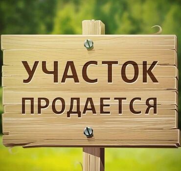 ала тоо ж м: 4 соток, Айыл чарба үчүн, Башкы ишеним кат
