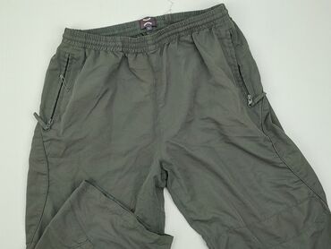 Other trousers: Women`s trousers, L (EU 40)