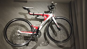 велосипеди с ручкой: Адик: Модель эта носит звучное название - Ferrari Touring Bike FB