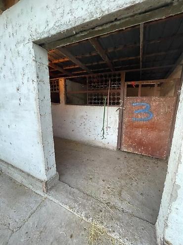 Продажа коттеджей и домов: ПРОДАЁТСЯ 2 ДОМА В ГОРОДЕ КАРА БАЛТА ПО УЛИЦЕ ЭРКИН АЛЫБАЕВА И — 20