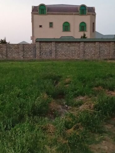 Torpaq sahələrinin satışı: 8 sot, Tikinti, Mülkiyyətçi, Kupça (Çıxarış) — 3