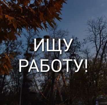 ищу работу на кафе: ИЩУ РАБОТУ В ДЖАЛАЛ АБАДЕ!