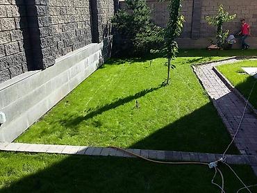 Другие услуги: Мы занимаемся созданием газонов на придомовой территории. Этот процесс — 2