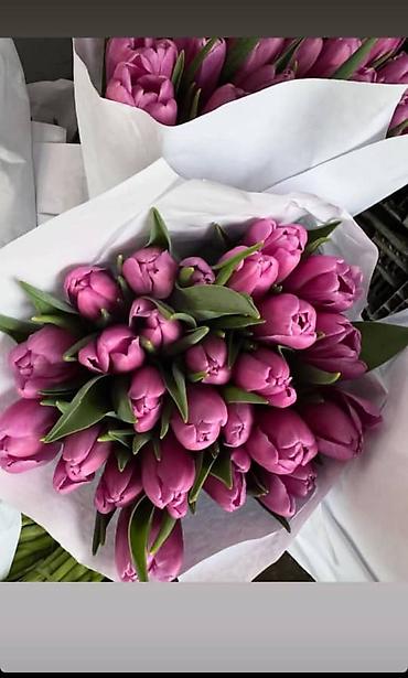 Букеты из живых цветов: 🌷 ТАКОЙ ЦЕНЫ В КЫРГЫЗСТАНЕ НЕТ 🌷 Голландские тюльпаны — 100 сом от 10 — 8