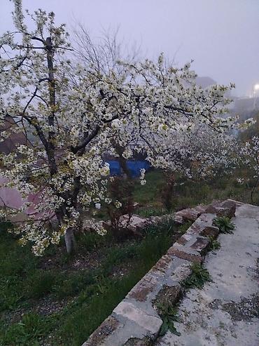 Torpaq sahələrinin satışı: 10 sot, Mülkiyyətçi — 14