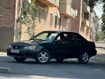 купить машину тойота королла: Toyota Corolla: 2003 г., 1.8 л, Автоматтык, Бензин, Седан
