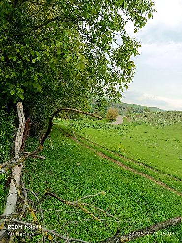 Torpaq sahələrinin satışı: 8 sot, Tikinti, Makler, Kupça (Çıxarış) -da lalafo.az — 16 Torpaq sahələrinin satışı: 8 sot, Tikinti, Makler, Kupça (Çıxarış) — 16