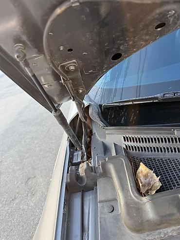 Renault: Renault SM6: 2019 г., 2 л, Автомат, Бензин, Седан — 19