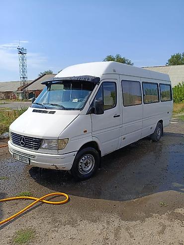 Mercedes-Benz Спринтер: 1998 г., 2.9 л, Бус