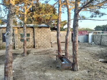 Torpaq sahələrinin satışı: Kənd təsərrüfatı — 7