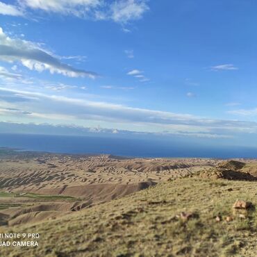 Сельхоз предприятия: Продаю Кошара, 200 соток, Действующий — 21