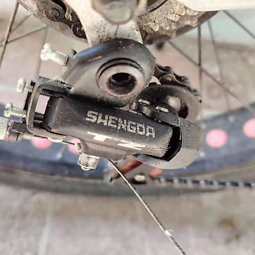 velsiped: Fatbike tipli dağ velosipedi – YILONG Xüsusiyyətlər: - Geniş “fat” — 5