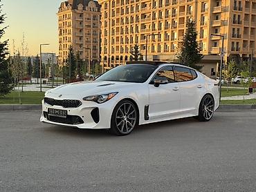 Продажа авто: Kia Stinger: 2019 г., 2 л, Автомат, Бензин, Фастбек — 1