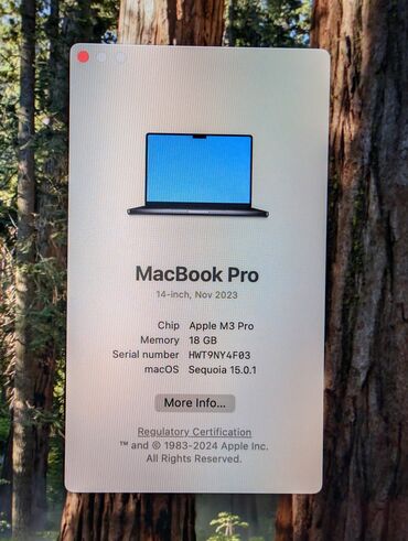 Ноутбуки: Ультрабук, Apple, 16 ГБ ОЗУ, Apple M3 Pro, 14 ", Б/у, Для несложных задач, память SSD — 8