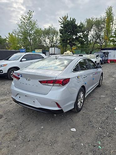 hongqi e hs3: Hyundai Sonata: 2020 г., Бензин, Седан — 4