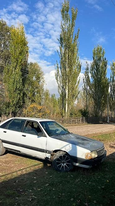 Audi: Audi 100: 1989 г., 2 л, Механика, Бензин, Седан — 5