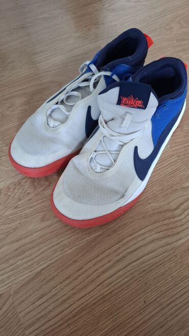 Čizme: Čizme, Massimo Dutti, 40 — 19