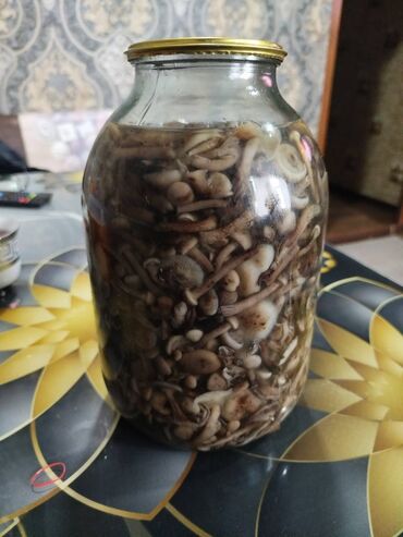 Bal: Salam Hazır 3 ltr balon. 1 ltr banka marinnovaniy Opyata göbələyi