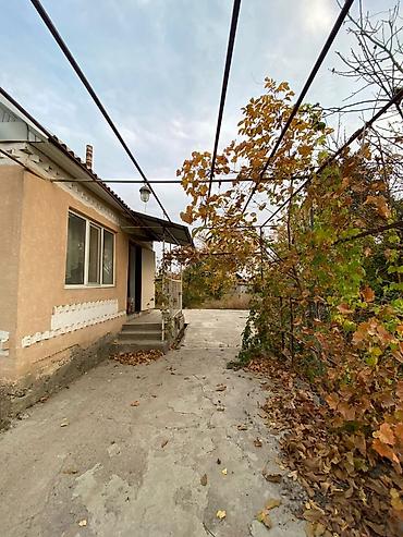 Продажа коттеджей и домов: Дом с участком и хозпостройками - Отдельный жилой дом с двускатной — 6