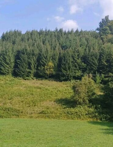 Kuće na prodaju: 80 kv. m, 4 sobe — 5