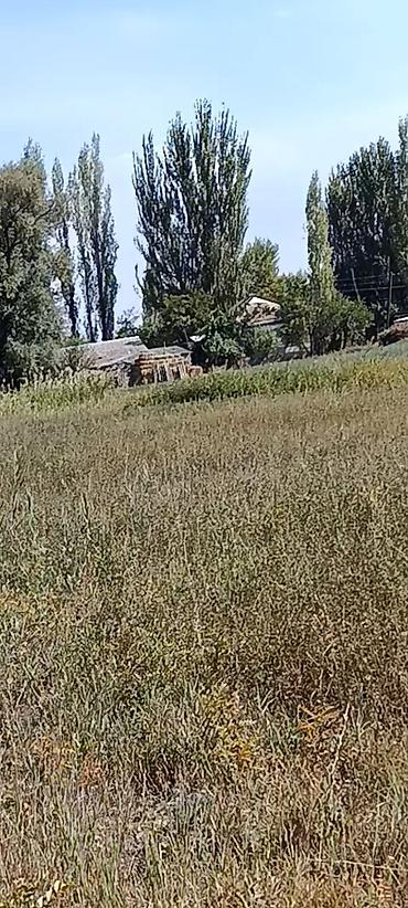 Продажа участков: 20 соток, Для строительства — 2