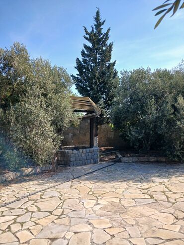 Həyət evləri və villaların satışı: Maştağa, Vişnovkada daşdan tikilmiş 2 mərtəbəli fərdi ev və həyətyanı — 15