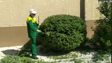 Другие услуги: Сделали ландшафтный дизайн? Нужно поддерживать его в идеальном — 11