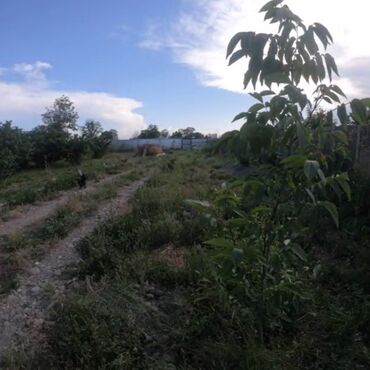 Həyət evləri və villaların satışı: 2 otaqlı, 60 kv. m, Kredit yoxdur, Orta təmir — 16