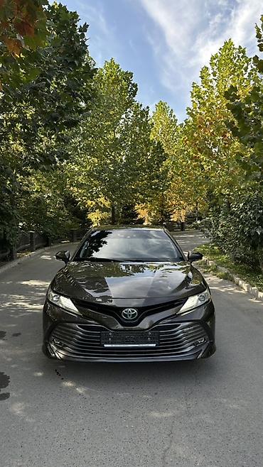 тайота в: Toyota Camry: 2019 г., 2.5 л, Автомат, Гибрид, Седан — 5