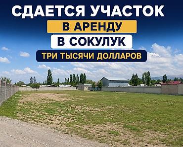 Аренда участков: 27 соток — 1