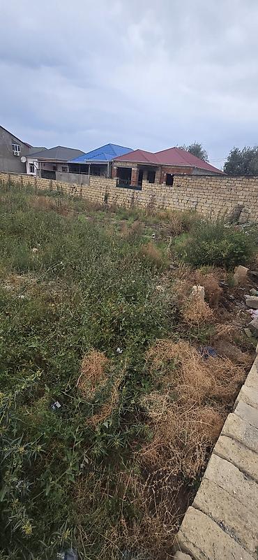 merdekanda tecili ucuz torpaq satilir: 6 sot, Kənd təsərrüfatı, Mülkiyyətçi, Kupça (Çıxarış) — 3