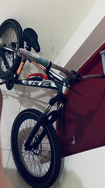 velosipet motoru: Uşaq velosipedi– VISTA Xırdalan At Heykelinin Yanı Gövdə ölçüsü və 24" — 3